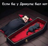 кот дракулы.jpg