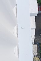 20260611_061511.jpg